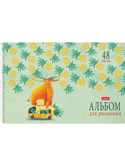 Альбом для рисования А4 48 л., спираль, обложка картон, HATBER, 205х290 мм, 