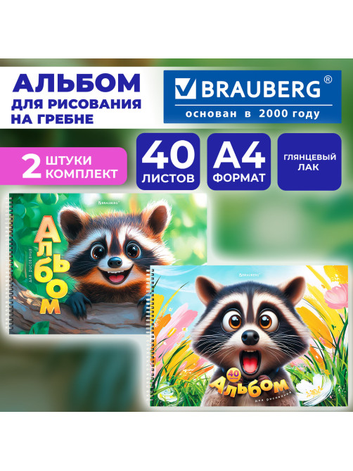 Альбомы для рисования ДЭК, А4, 40 л., КОМПЛЕКТ 2 шт., гребень, глянцевый лак, BRAUBERG, 200х290 мм, 