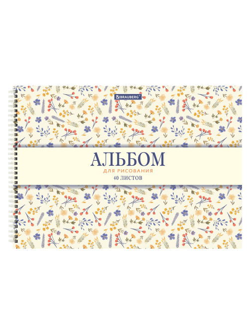 Альбомы для рисования ДЭК, А4, 40 л., КОМПЛЕКТ 2 шт., гребень, рельефный картон, BRAUBERG, 200х290 мм, 