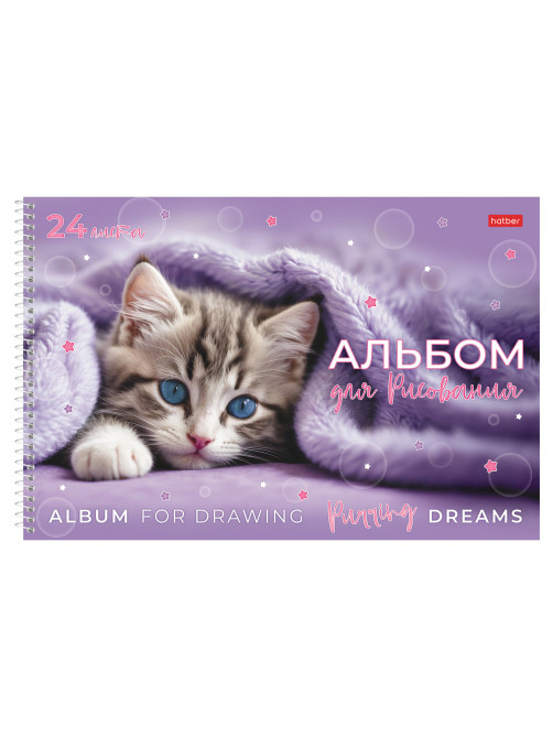 Альбом для рисования, обложка пластик, А4 24 л., спираль, HATBER, 198х300 мм, 