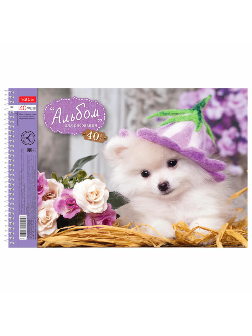 Альбом для рисования, А4, 40 листов, спираль, обложка картон, HATBER, 205х300 мм, 