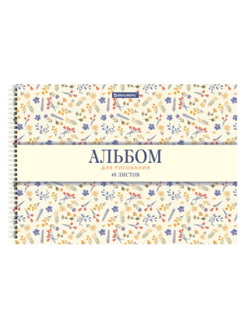 Альбомы для рисования ДЭК, А4, 40 л., КОМПЛЕКТ 2 шт., гребень, рельефный картон, BRAUBERG, 200х290 мм, 