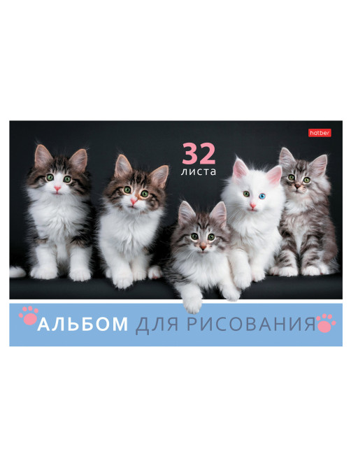 Альбом для рисования А4 32 л., скоба, обложка картон, HATBER, 205х290 мм, Ассорти 