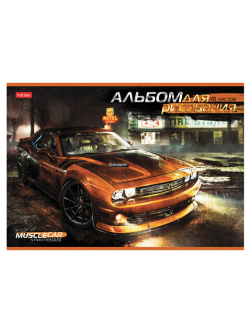 Альбом для рисования А4 48 л., скоба, обложка картон, HATBER, 205х290 мм, 