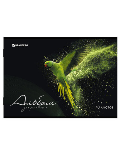 Альбом для рисования А4, 40 л., скоба, обложка картон, BRAUBERG, 205х290 мм, 