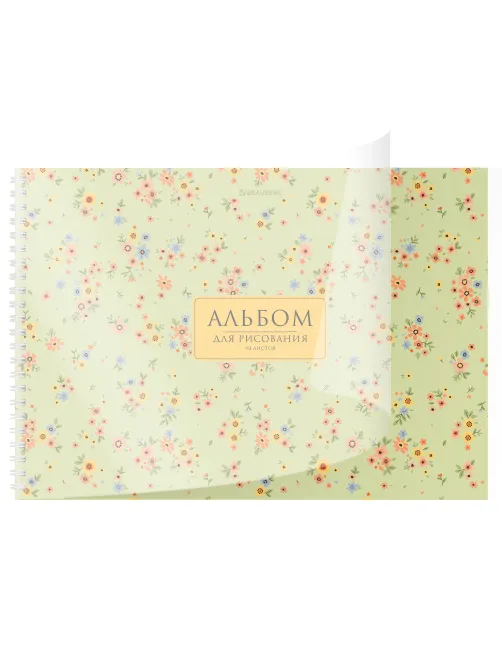 Альбом для рисования, пластиковая обложка, А4, 40 л., гребень, BRAUBERG, 210х297 мм, АССОРТИ-2 (8 видов), 107683