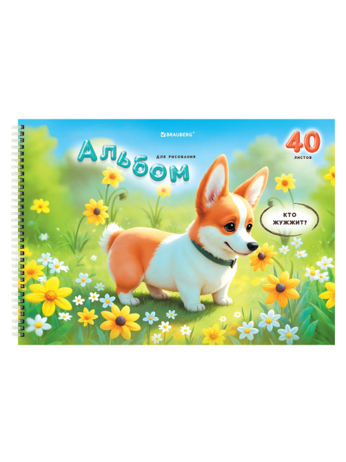 Альбомы для рисования ДЭК, А4, 40 л., КОМПЛЕКТ 2 шт., гребень, глянцевый лак, BRAUBERG, 200х290 мм, 