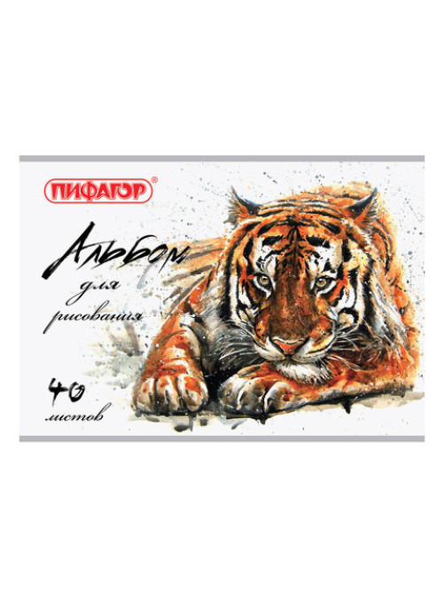 Альбом для рисования А4 40 л., скоба, обложка офсет, ПИФАГОР, 205х290 мм, 