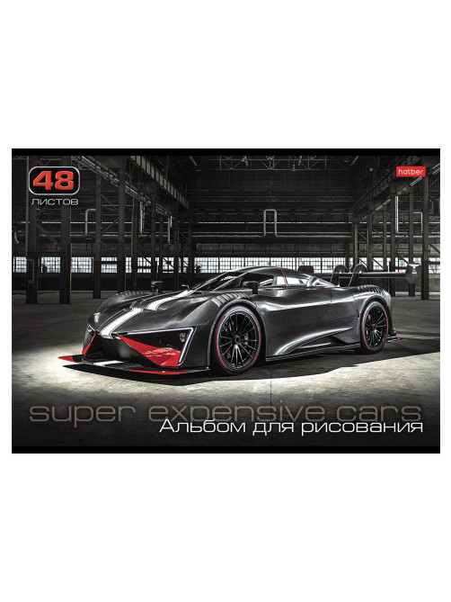 Альбом для рисования А4 48 л., скоба, обложка картон, HATBER, 205х290 мм, 