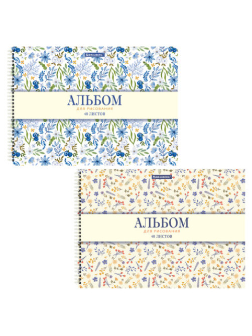 Альбомы для рисования ДЭК, А4, 40 л., КОМПЛЕКТ 2 шт., гребень, рельефный картон, BRAUBERG, 200х290 мм, 