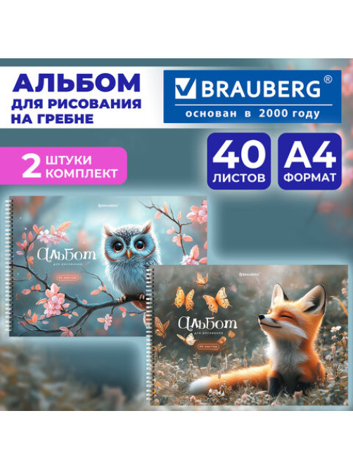 Альбомы для рисования ДЭК, А4, 40 л., КОМПЛЕКТ 2 шт., гребень, обложка картон, BRAUBERG, 200х290 мм, 