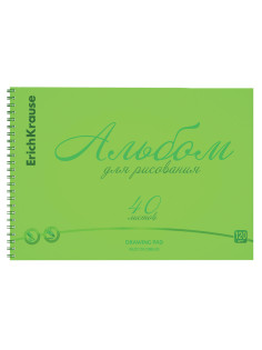 Альбом для рисования обложка пластик, А4, 40 л., гребень, 120 г/м2, перфорация, Erich Krause, 