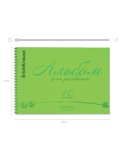 Альбом для рисования обложка пластик, А4, 40 л., гребень, 120 г/м2, перфорация, Erich Krause, 