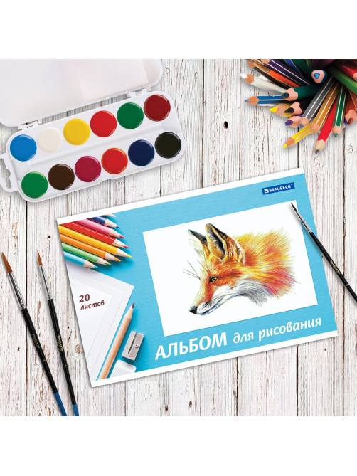 Альбом для рисования, А4, 20 л., скоба, обложка картон, BRAUBERG, 200х283 мм, 