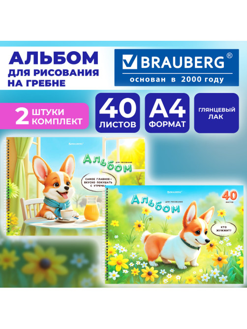Альбомы для рисования ДЭК, А4, 40 л., КОМПЛЕКТ 2 шт., гребень, глянцевый лак, BRAUBERG, 200х290 мм, 