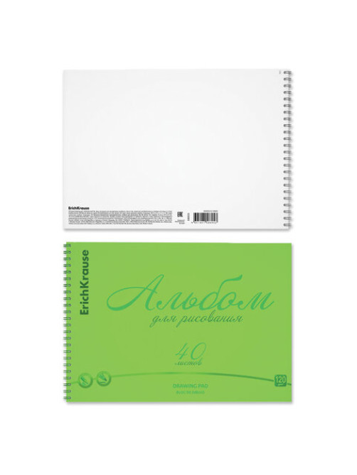 Альбом для рисования обложка пластик, А4, 40 л., гребень, 120 г/м2, перфорация, Erich Krause, 