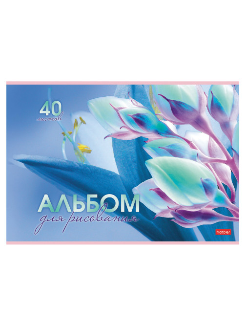 Альбом для рисования А4 40 л., скоба, обложка картон, HATBER, 205х290 мм, 