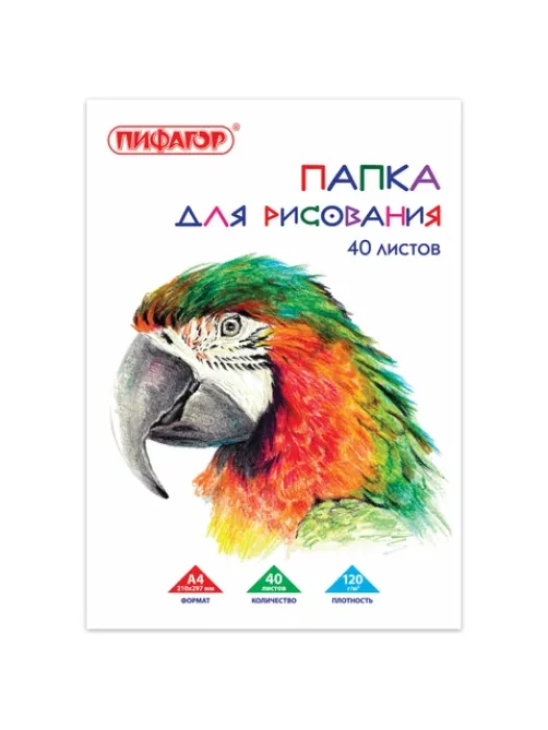 Папка для рисования, А4, 40 л., 120 г/м2, ПИФАГОР, 210х297 мм, 