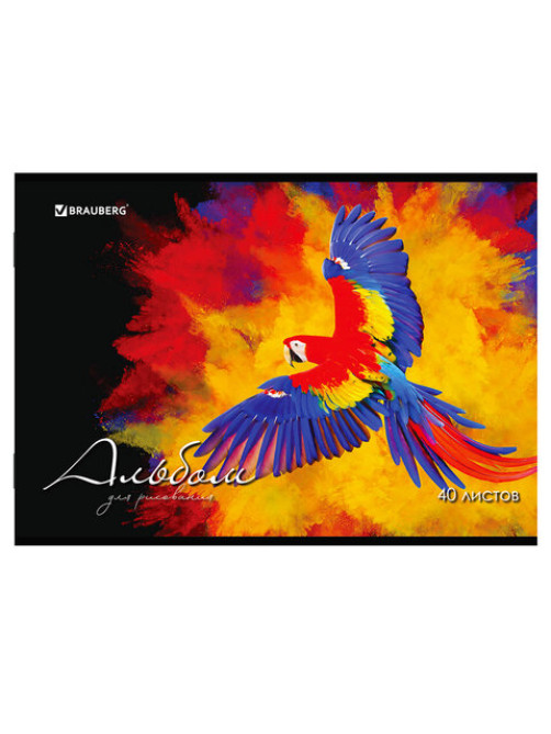 Альбом для рисования А4, 40 л., скоба, обложка картон, BRAUBERG, 205х290 мм, 