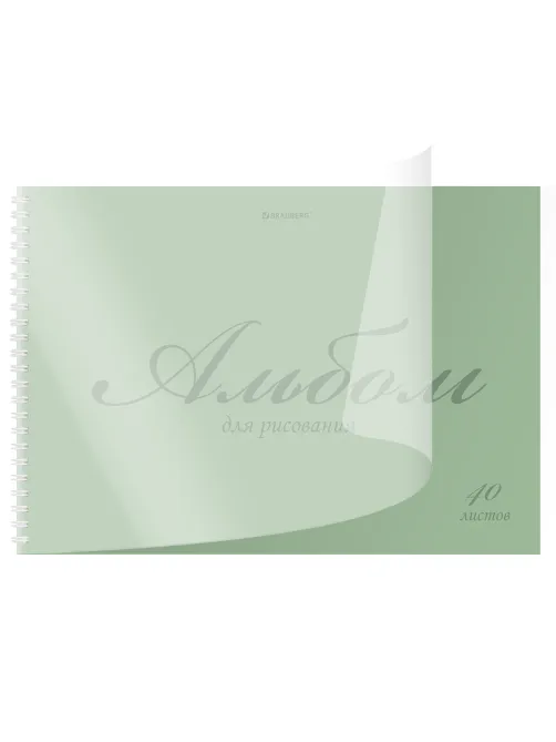 Альбом для рисования, пластиковая обложка, А4, 40 л., гребень, BRAUBERG, 210х297 мм, ОДНОТОННЫЕ (4 вида), 107681