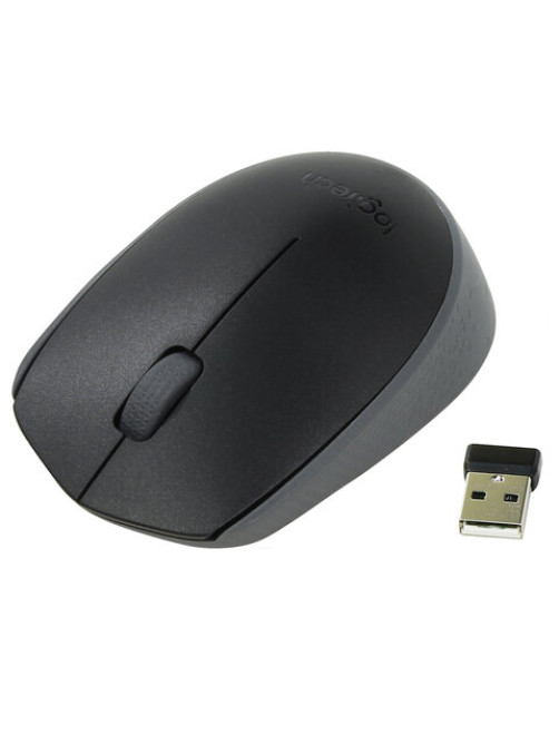 Мышь беспроводная LOGITECH M171, 2 кнопки + 1 колесо-кнопка, оптическая, черная
