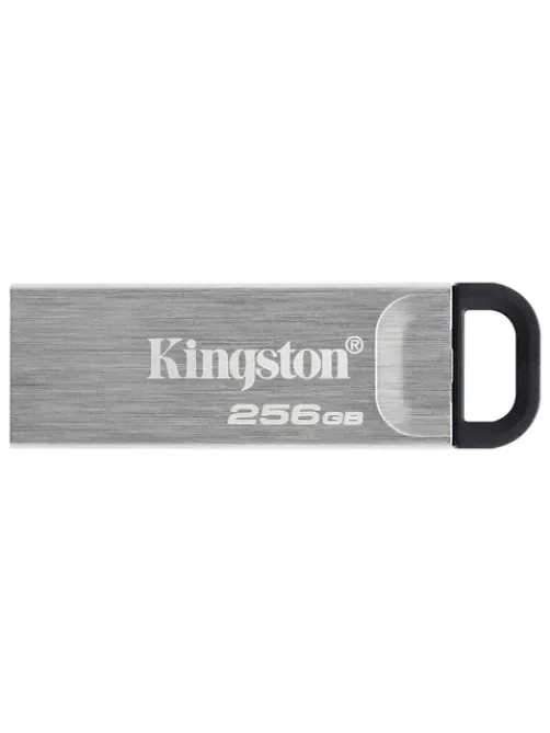 Флеш-диск 256 GB KINGSTON DataTraveler Kyson, разъем USB 3.2, серебряный, DTKN/256GB