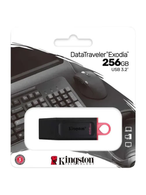 Флеш-диск 256 GB KINGSTON DataTraveler Exodia, разъем USB 3.2, черный/розовый, DTX/256GB
