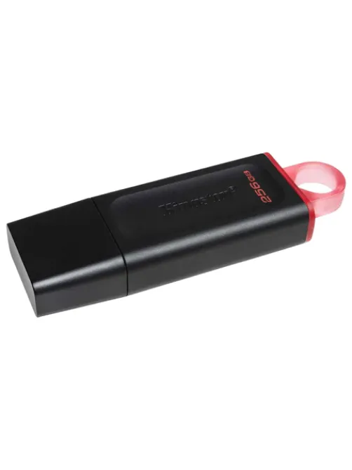 Флеш-диск 256 GB KINGSTON DataTraveler Exodia, разъем USB 3.2, черный/розовый, DTX/256GB