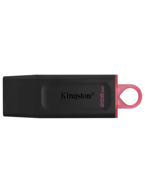 Флеш-диск 256 GB KINGSTON DataTraveler Exodia, разъем USB 3.2, черный/розовый, DTX/256GB