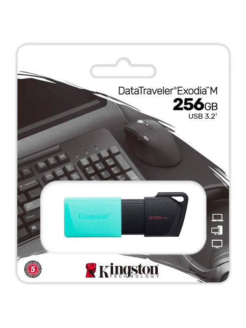 Флеш-диск 256GB KINGSTON DataTraveler Exodia M, разъем USB 3.2, черный/зеленый, DTXM/256GB