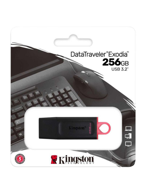 Флеш-диск 256 GB KINGSTON DataTraveler Exodia, разъем USB 3.2, черный/розовый, DTX/256GB