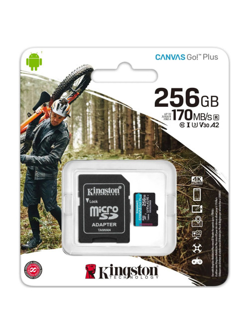 Карта памяти microSDXC 256GB KINGSTON Canvas Go Plus UHS-I U3, 170 Мб/с (class 10), SDCG3/256GB