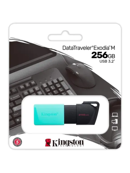 Флеш-диск 256GB KINGSTON DataTraveler Exodia M, разъем USB 3.2, черный/зеленый, DTXM/256GB