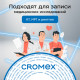 Диск CD-R CROMEX (КРОМЕКС), 700 Mb, 52x, Cake Box (упаковка на шпиле), КОМПЛЕКТ 100 шт., 513778