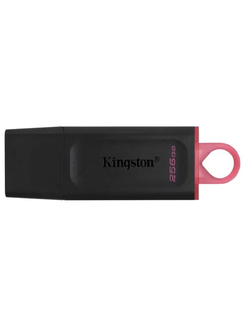 Флеш-диск 256 GB KINGSTON DataTraveler Exodia, разъем USB 3.2, черный/розовый, DTX/256GB