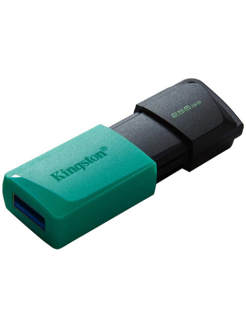 Флеш-диск 256GB KINGSTON DataTraveler Exodia M, разъем USB 3.2, черный/зеленый, DTXM/256GB