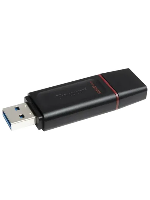 Флеш-диск 256 GB KINGSTON DataTraveler Exodia, разъем USB 3.2, черный/розовый, DTX/256GB
