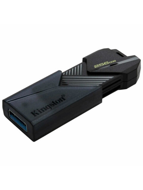 Флеш-диск 256 GB KINGSTON DataTraveler Exodia Onyx, разъем USB 3.2, черный, DTXON/256GB