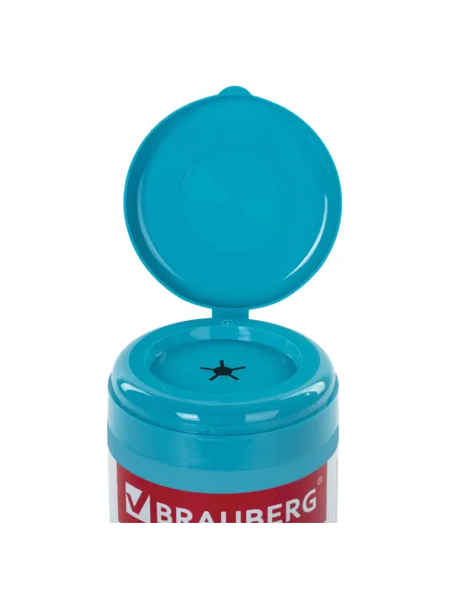Салфетки АНТИБАКТЕРИАЛЬНЫЕ ДЛЯ МОНИТОРОВ И ПЛАСТИКА, ПЛОТНЫЕ, BRAUBERG, 100 шт., 513476