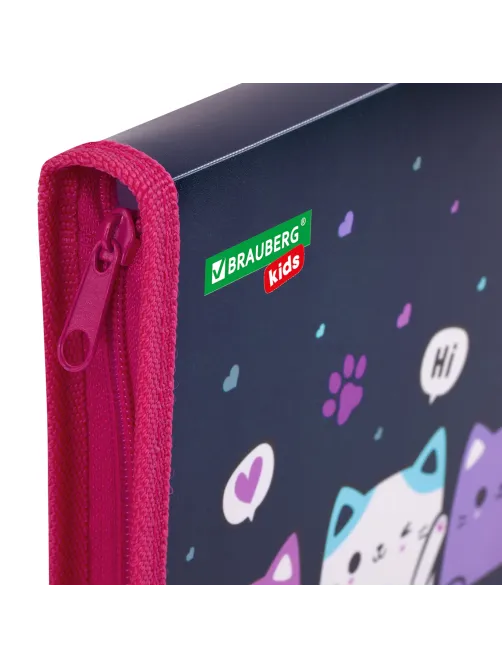 Папка для тетрадей BRAUBERG KIDS А5, 1 отделение, пластик, молния вокруг, 