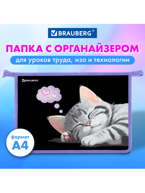 Папка для труда на молнии BRAUBERG А4, 2 отделения, органайзер, 