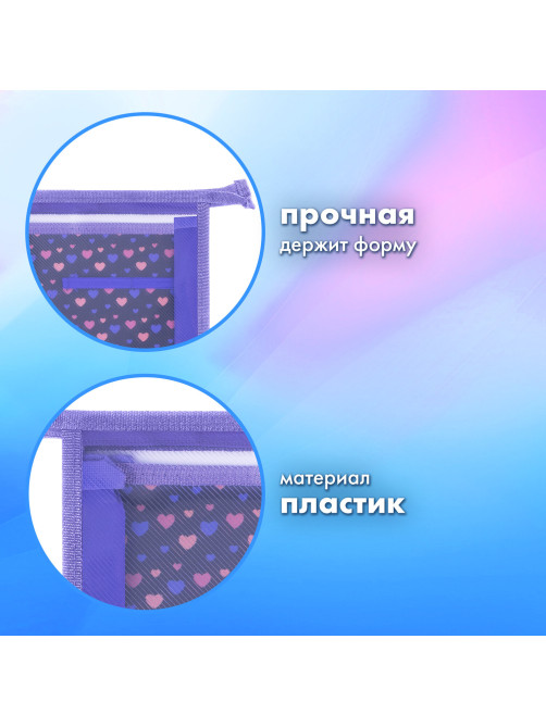 Папка для труда на молнии BRAUBERG А4, 2 отделения, органайзер, 