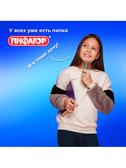 Папка для тетрадей ПИФАГОР А4, 1 отделение, картон/пластик, на молнии, 