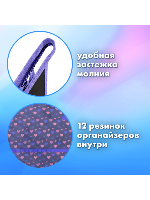 Папка для труда на молнии BRAUBERG А4, 2 отделения, органайзер, 