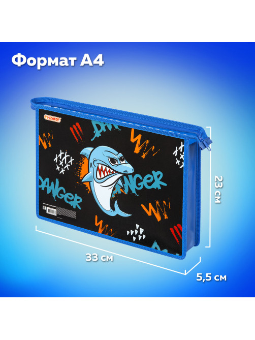 Папка для тетрадей ПИФАГОР А4, 1 отделение, картон/пластик, на молнии, 