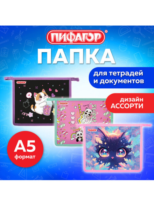 Папка для тетрадей ПИФАГОР А5, 1 отделение, пластик, на молнии, АССОРТИ для девочек, 274522
