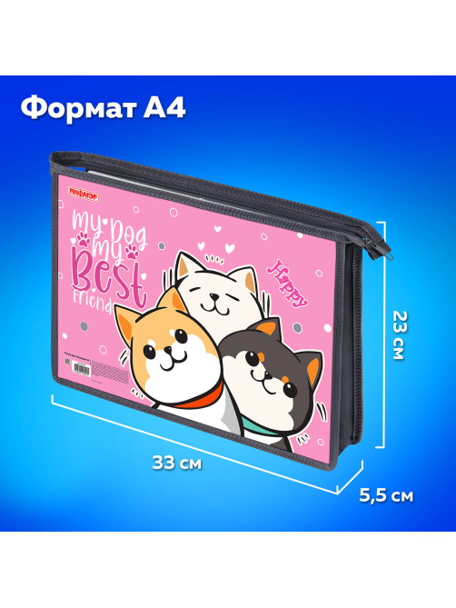 Папка для тетрадей ПИФАГОР А4, 1 отделение, картон/пластик, на молнии, 