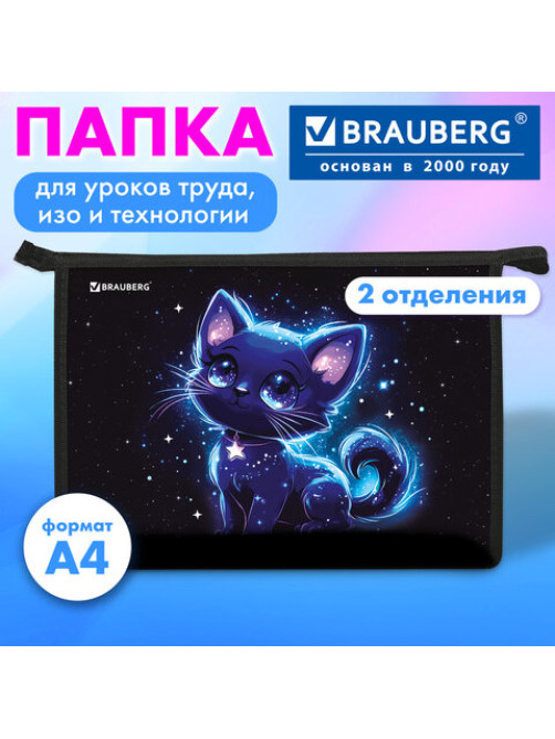 Папка для труда на молнии BRAUBERG А4, 2 отделения, органайзер, 