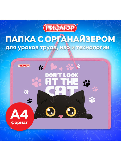 Папка для труда на молнии с ручками ПИФАГОР А4, 1 отделение, пластик, органайзер, 