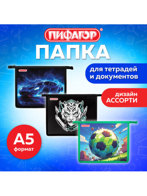 Папка для тетрадей ПИФАГОР А5, 1 отделение, пластик, на молнии, АССОРТИ для мальчиков, 274523